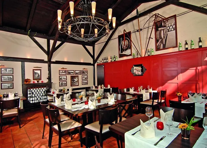 Parkhotel Guldene Berge Вайсенфельс